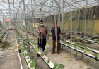 Bhabinkamtibmas-Desa-Gempol-Klutuk-Tinjau-Lahan-Pertanian-Melon