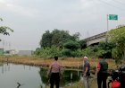 Manfaatkan-Lahan-Kosong,-Warga-Sepanjang-Sidoarjo-Kelola-Kolam-Ikan-Gurami-Dukung-Ketahanan-Pangan
