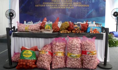 Bareskrim-Polri-Musnahkan-Ribuan-Kilogram-Bawang-Impor-Ilegal-dari-Jalur-Tikus-Perbatasan-Malaysia