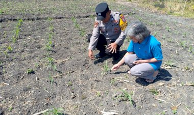 Polsek-Taman-Patroli-Ketahanan-Pangan-Beri-Semangat-Petani-Tingkatkan-Panen