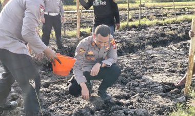 Kapolsek-Wonoayu-bersama-Gapoktan-Tanam-Jagung-Kuartal-II,-Dukung-Swasembada-Pangan-Nasional