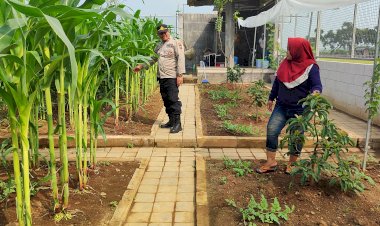 Polisi-Sambangi-Lahan-Jagung-Desa-Randegan,-Ajak-Petani-Dongkrak-Swasembada-Pangan