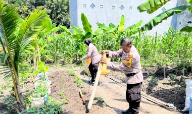 Optimalkan-Program-Ketahanan-Pangan,-Polsek-Waru-Optimis-Tanam-Jagung-Berhasil