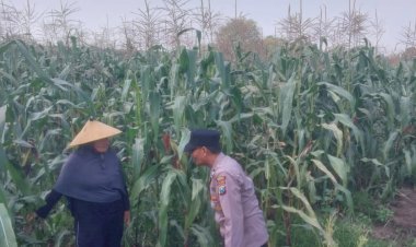 Dampingi-Petani,-Polsek-Sidoarjo-Kota-Dukung-Swasembada-Pangan