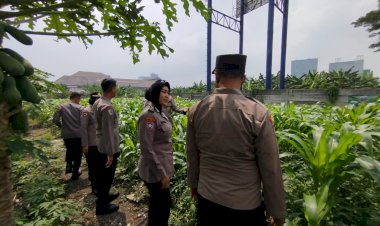 Tingkatkan-Swasembada-Pangan,-Polsek-Waru-Ajak-Petani-Serius-Kelola-Tanaman-Jagung