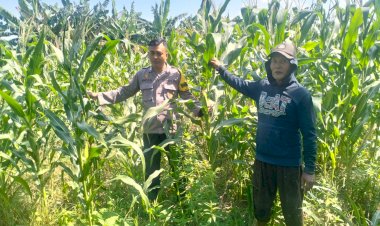 Polsek-Gedangan-Masifkan-Pendampingan-Program-Swasembada-Pangan