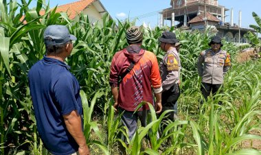 Polsek-Balongbendo-Perkuat-Swasembada-Pangan-Nasional-Bersama-Petani