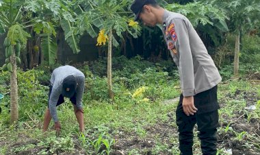 Polsek-Waru-Kawal-Jagung-Tumbuh-Subur-di-Pepelegi,-Wujud-Nyata-Polisi-Cinta-Petani-Dukung-Swasembada-Pangan