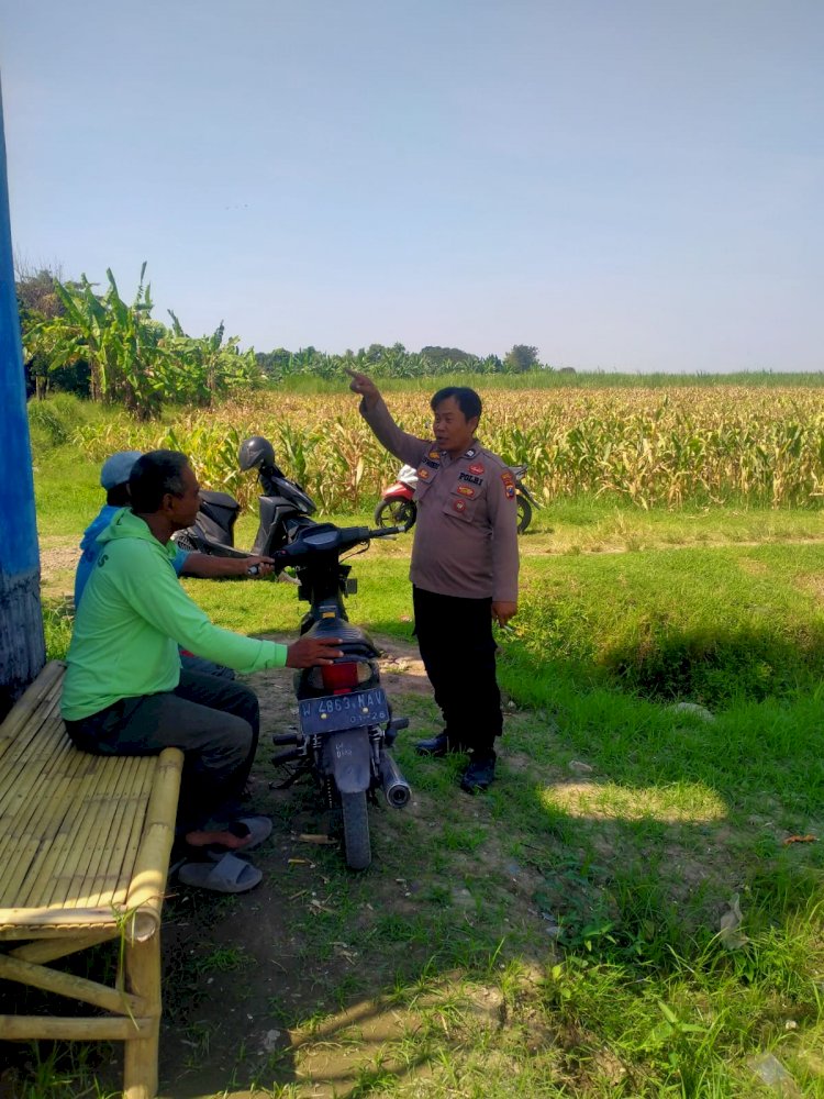 Polsek Prambon Tinjau Persiapan Lahan Jagung, Perkuat Program Swasembada Pangan di Sidoarjo