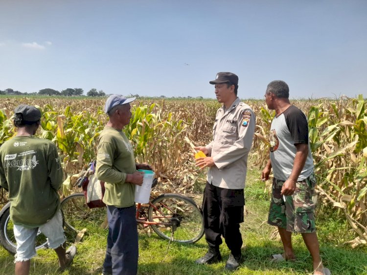 Kapolsek Prambon Masifkan Bhabinkamtibmas Sambang Petani, Guna Dongkrak Swasembada Pangan