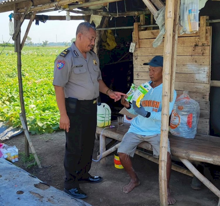 Polsek Tanggulangin Dampingi Petani Jagung Hibrida