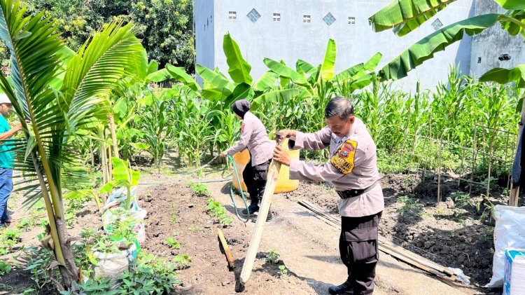 Optimalkan Program Ketahanan Pangan, Polsek Waru Optimis Tanam Jagung Berhasil