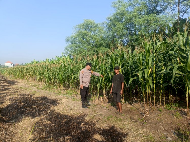 Polisi Pacu Petani Serius Garap Lahan Jagung di Desa Durungbedug